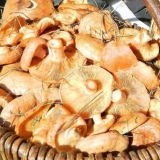 Kako posoliti pečurke na hladan način kod kuće